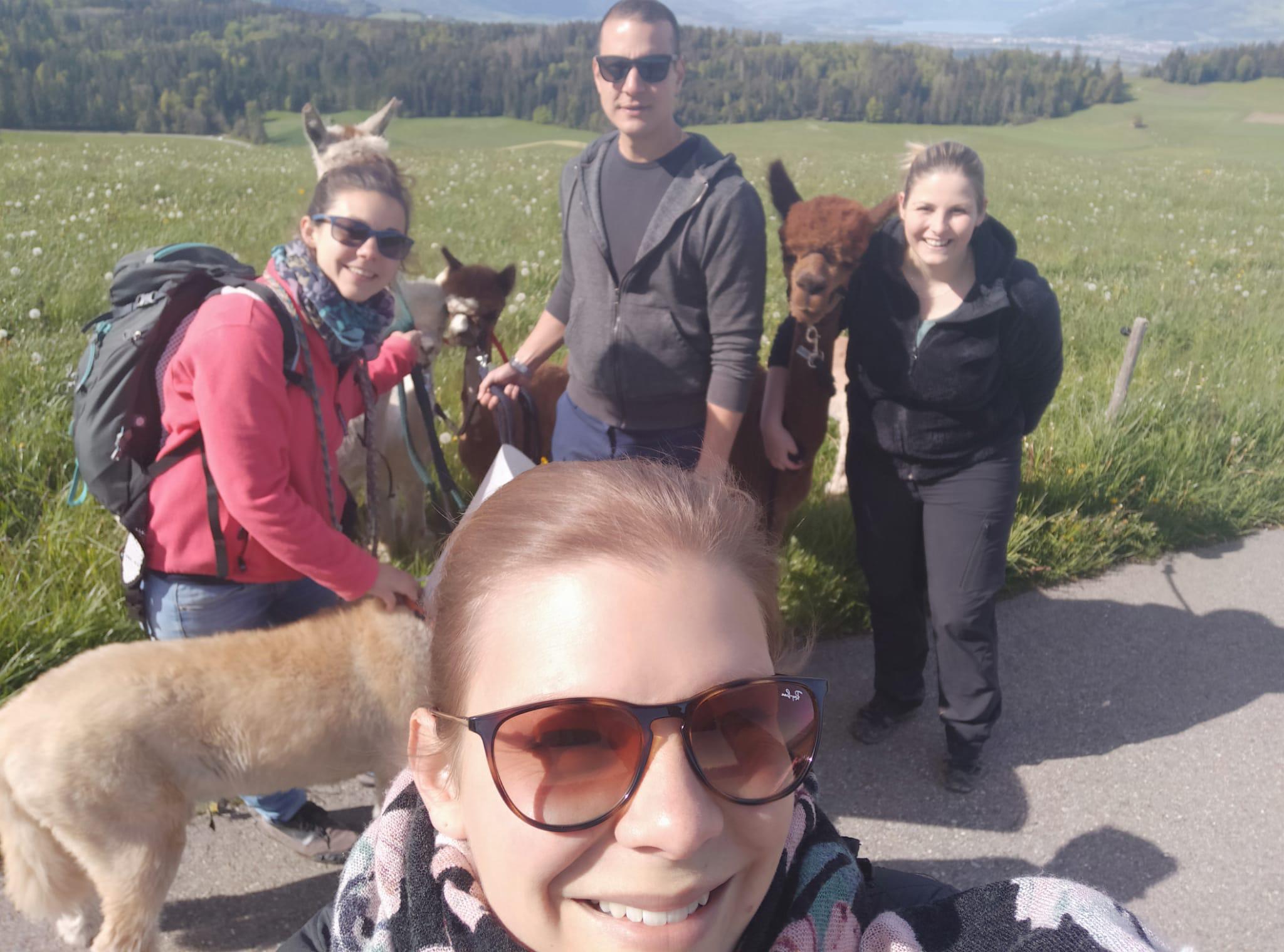 Wandern mit Alpakas, Spazieren mit Alpakas, Bern